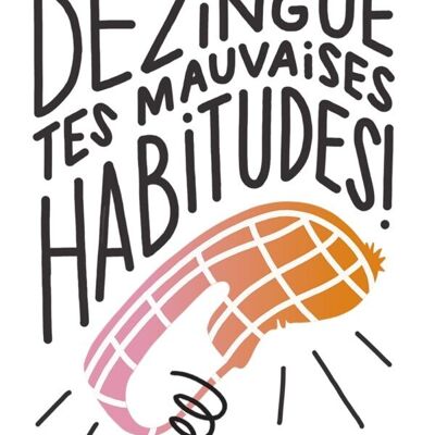Libro - Destruye tus malos hábitos