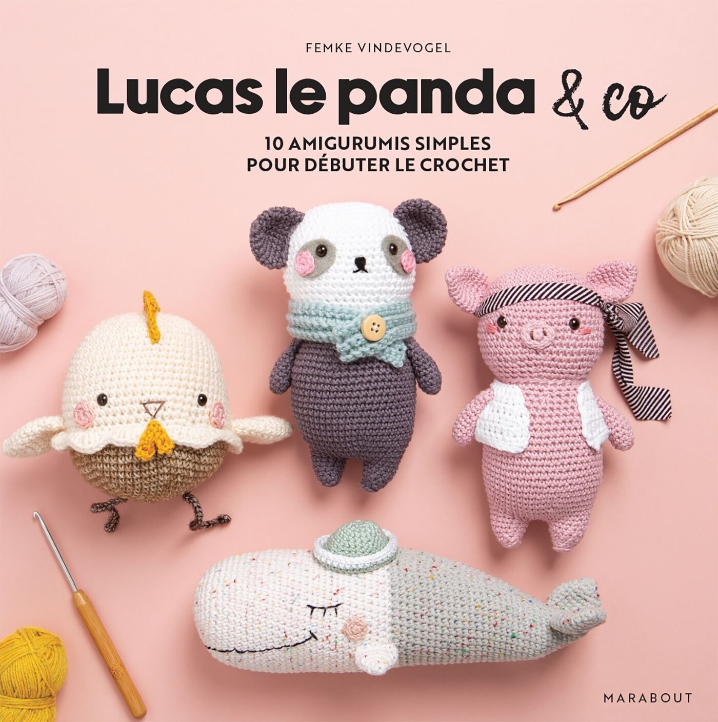 Lucas the Panda & Co. book
