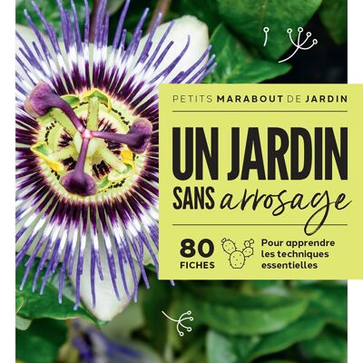 Libro - Un jardín sin riego