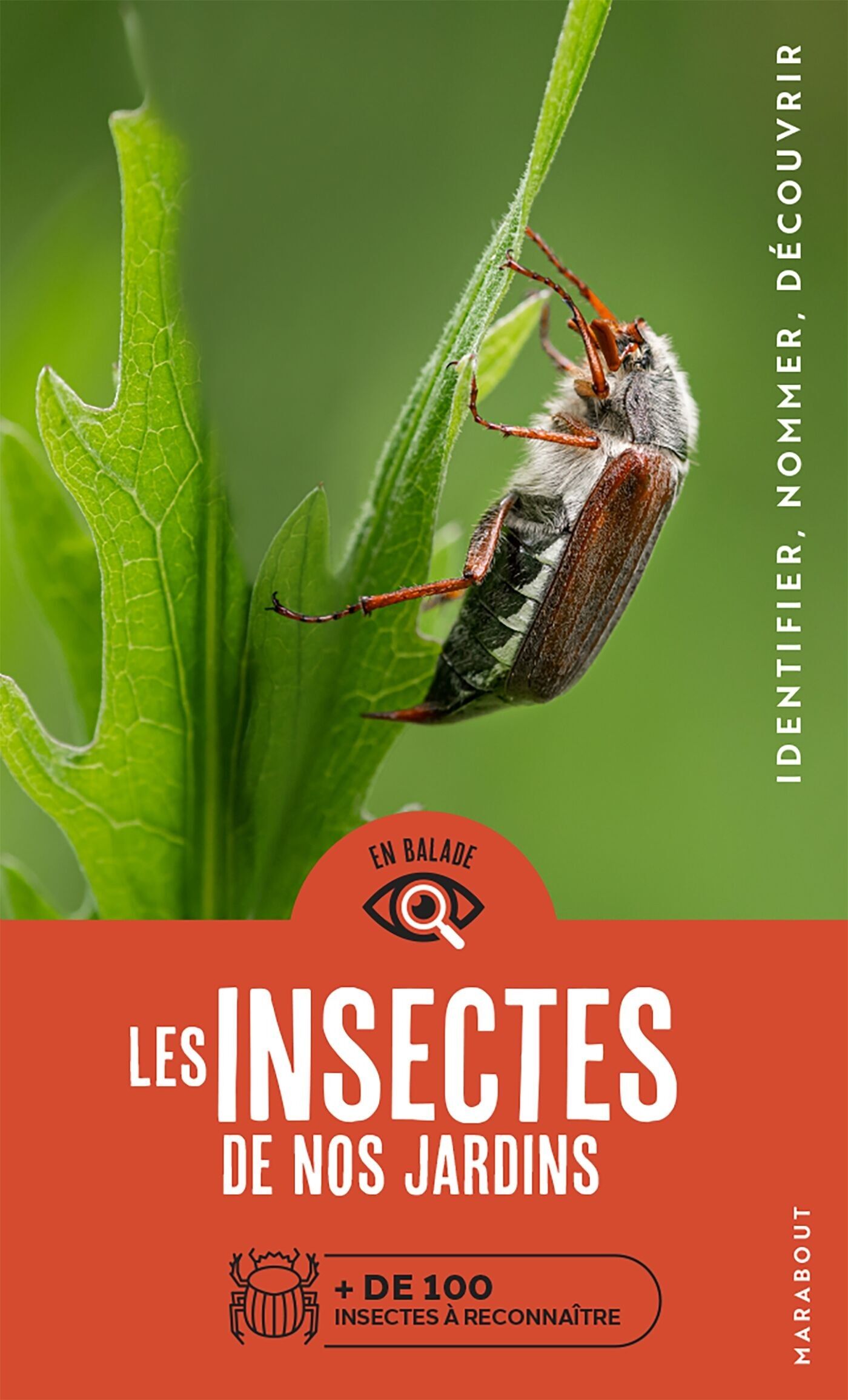 Book On the go - The insects in our gardens