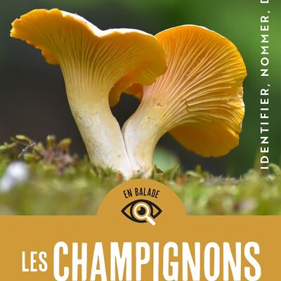 Livre - En balade - Les champignons des sous bois