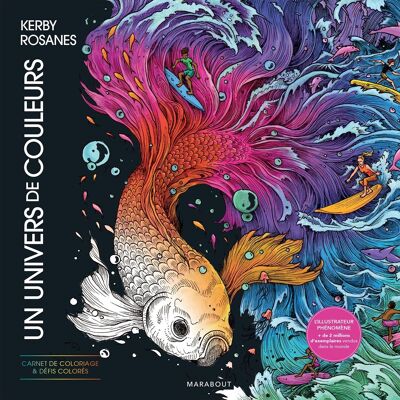 Libro - Un universo di colori