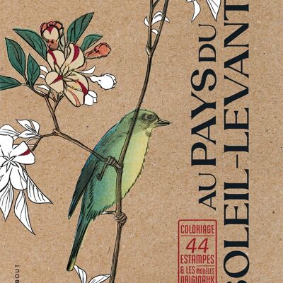 Libro - En la tierra del sol naciente