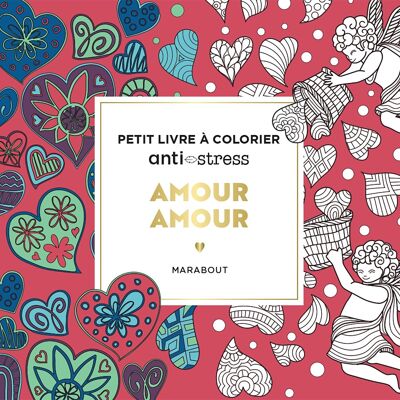 Libro - Amor amor