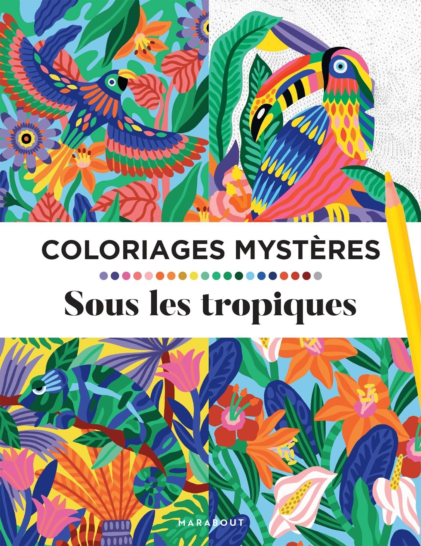 Coloring / Drawing Mystery Coloring Pages - Tropics