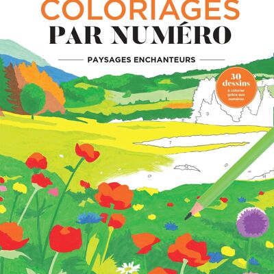 Libro - Páginas para colorear misteriosas - Paisajes encantadores