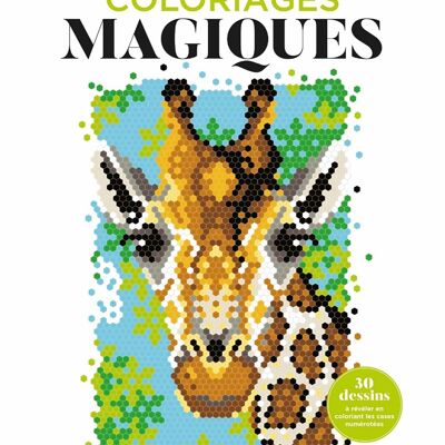 Libro - Páginas mágicas para colorear