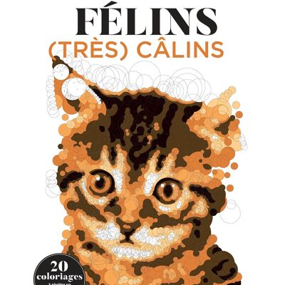 Libro - Colorear por números - felinos muy tiernos