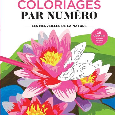 Libro - Páginas para colorear misteriosas - Las maravillas de la naturaleza