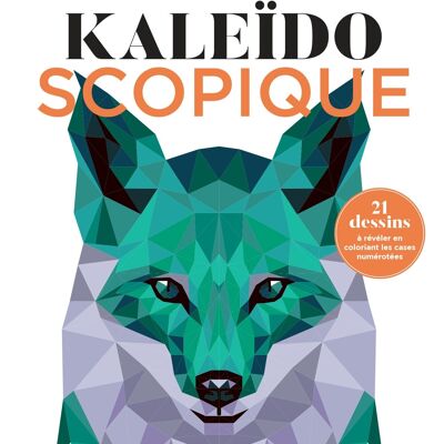 Libro - Caleidoscópico