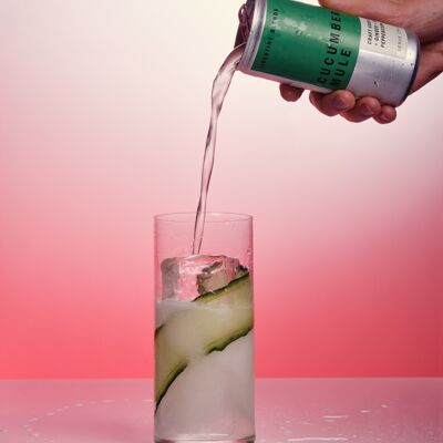 Cucumber Moscow Mule – Vodka Cocktail (200 ml Can)