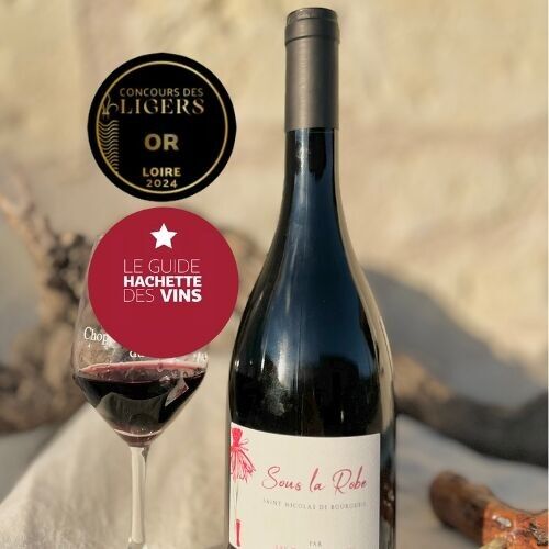 AOP Saint Nicolas de Bourgueil wine - Cuvée Sous la Robe 2022 - Case of 6 bottles