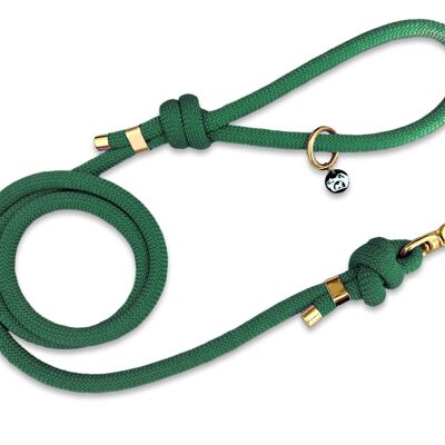 Laisse en corde pour chien - vert