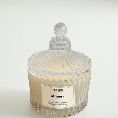 Mimosa - Candela profumata 70g - Scatola porta caramelle CIRQUE