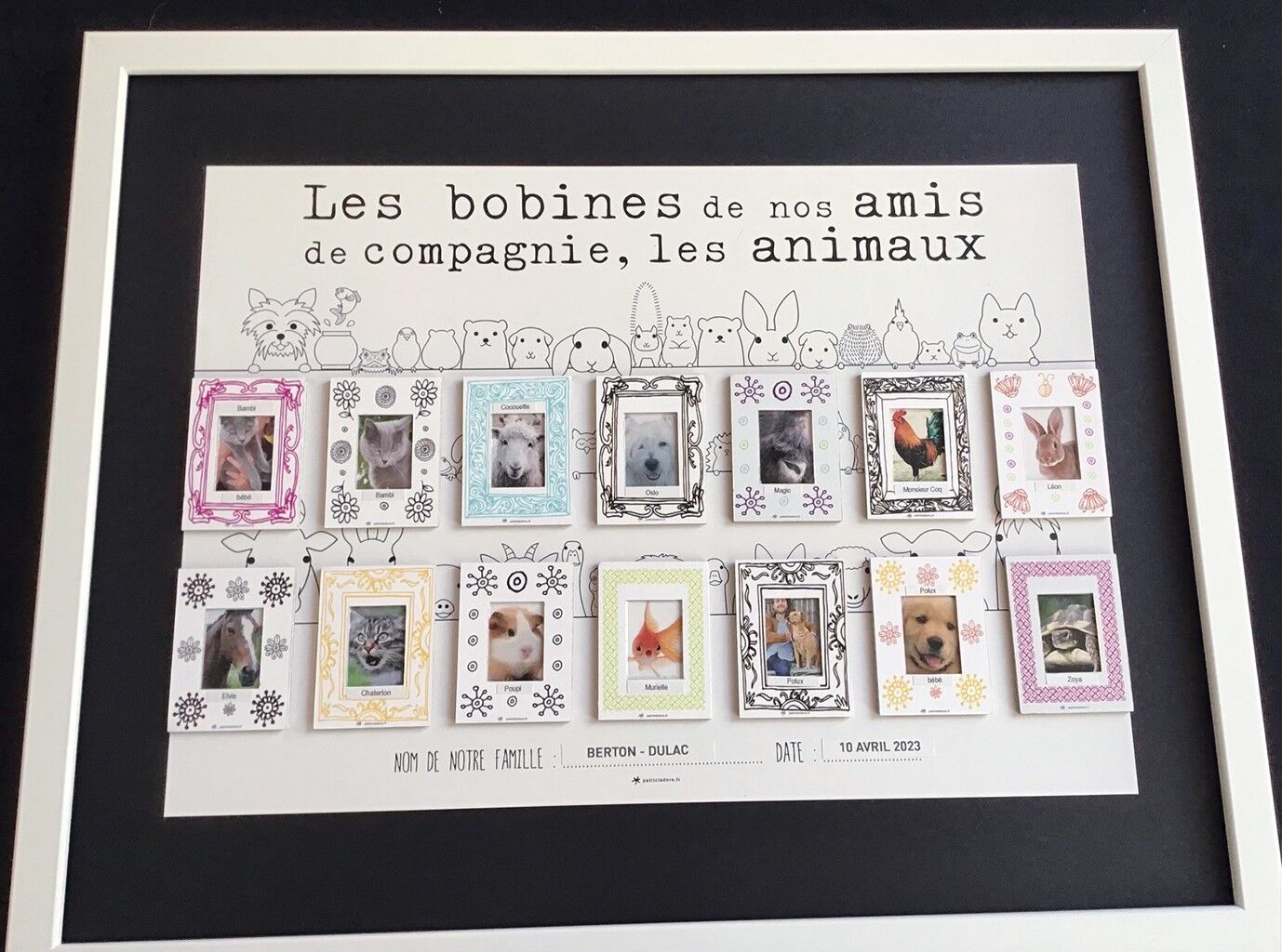 POSTER + 14 CORNICI: Ricordando i nostri animali domestici