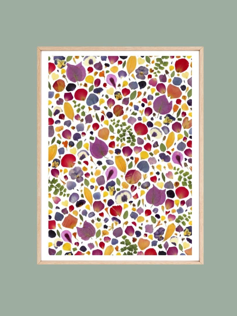 Stampa artistica - L'Audacieux Herbarium - A4 e A3