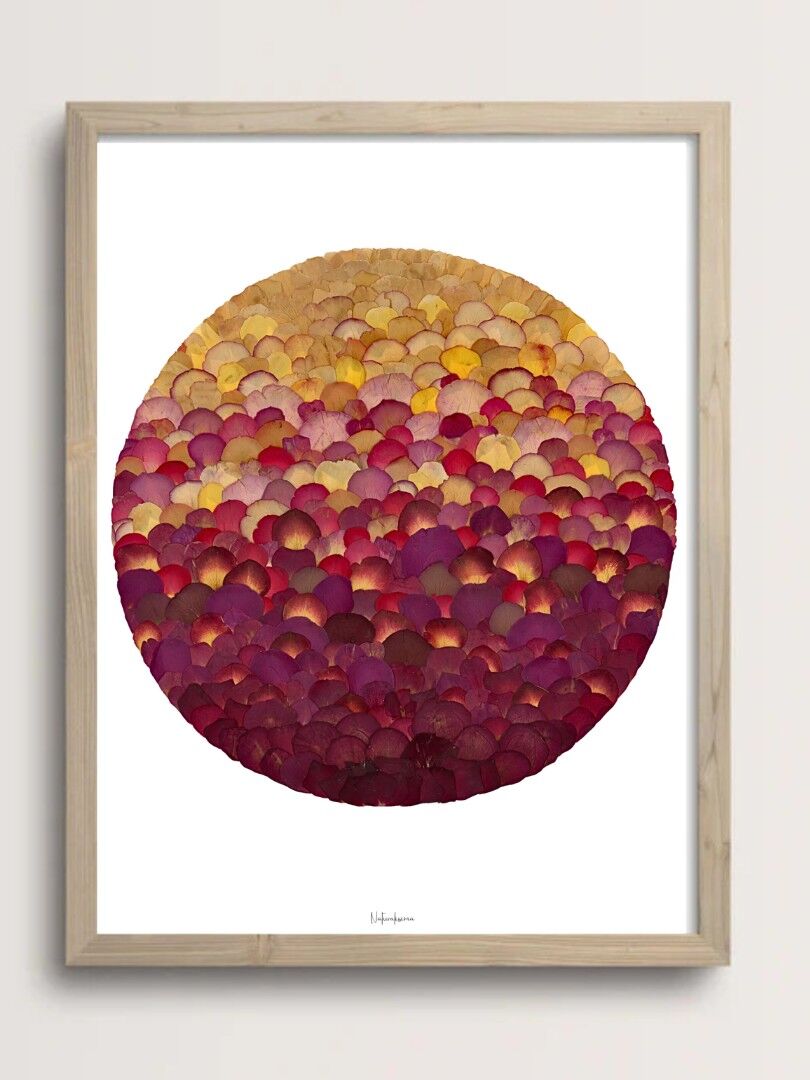 Stampa artistica - Sunset Herbarium - A4 e A3