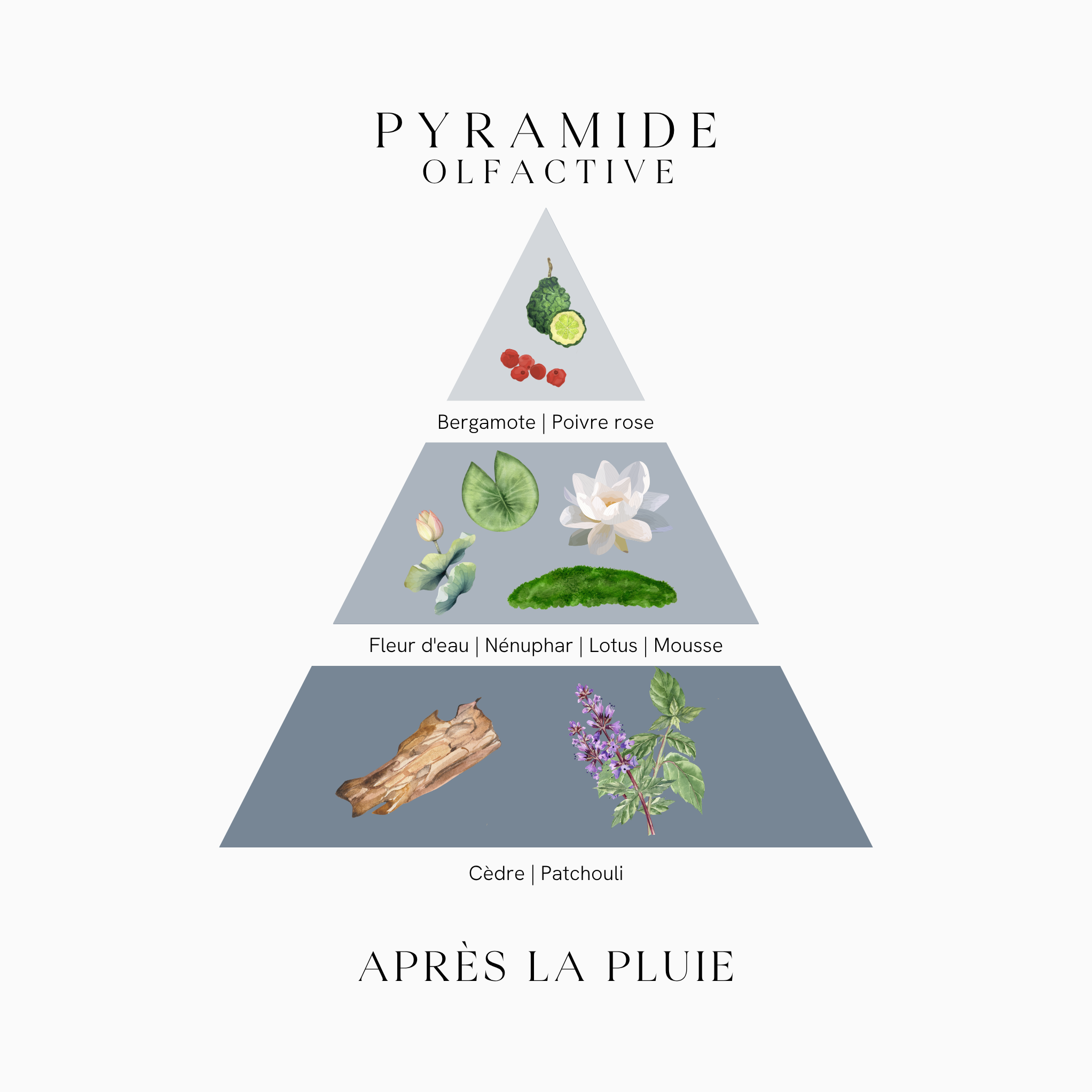 Grande bougie parfumée Après la Pluie | Cire végétale, 220g (2 mèches)