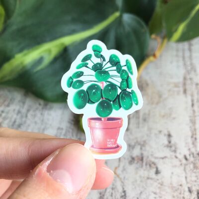 Sticker - Pilea Peperomioides UFO plant