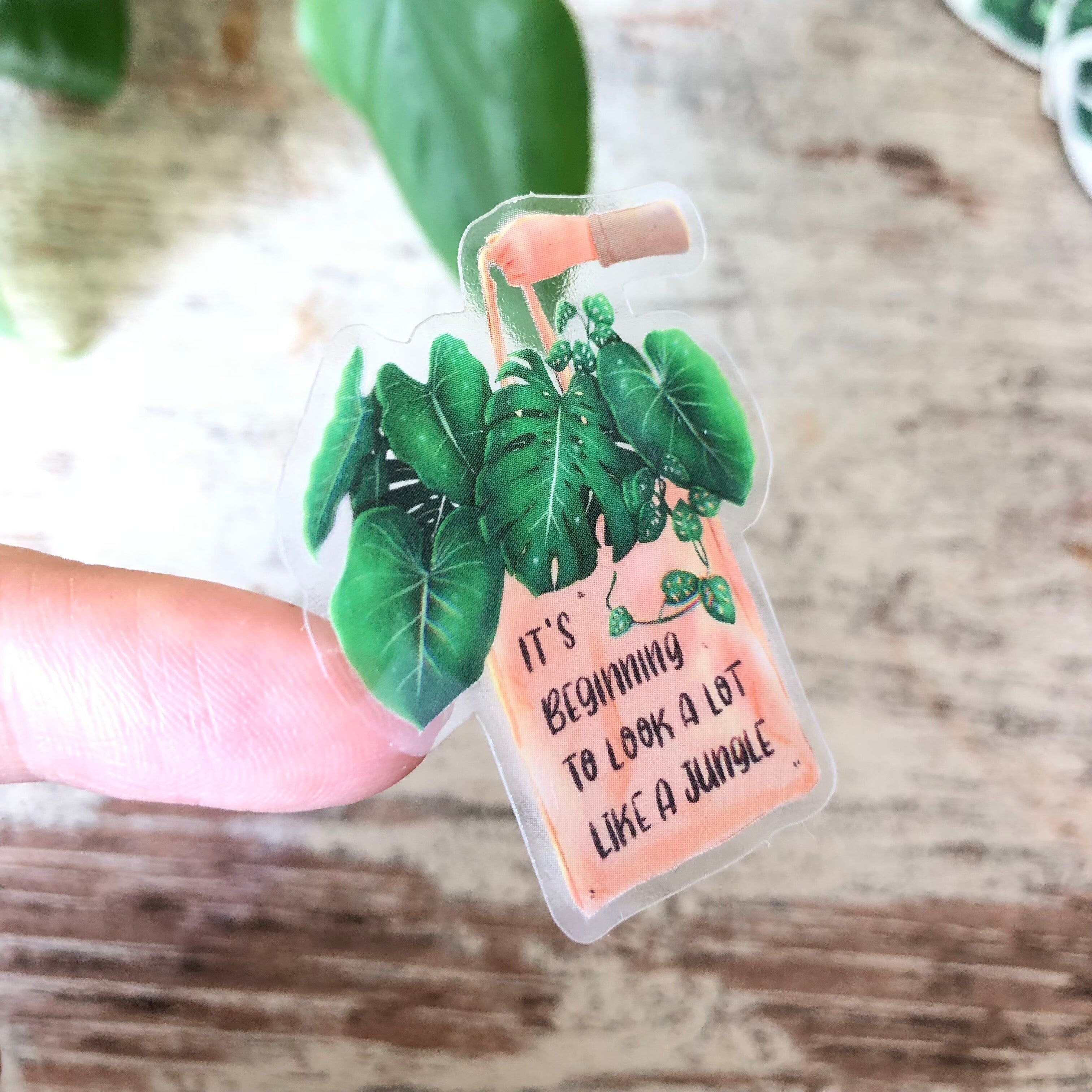 Adesivo - comincia ad assomigliare molto a una giungla - trasparente