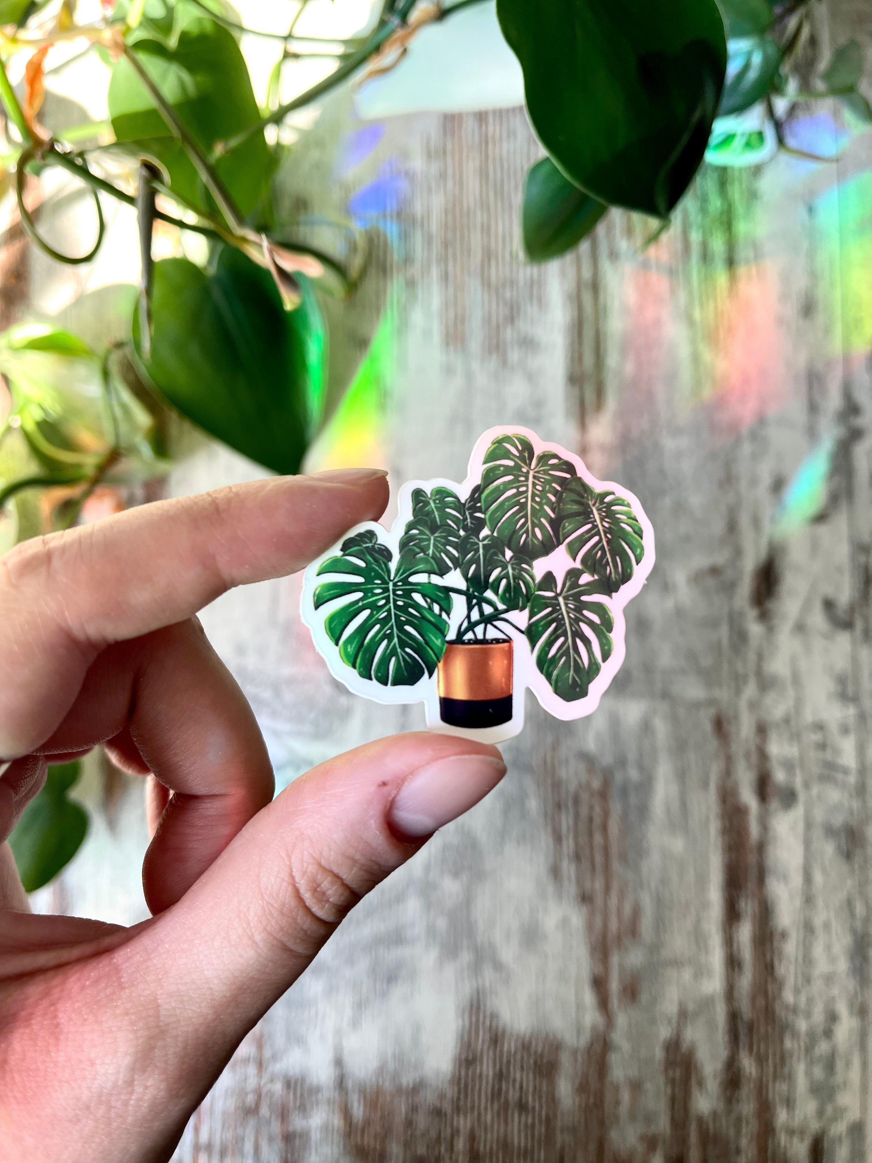 Pegatina - Monstera deliciosa en maceta dorada