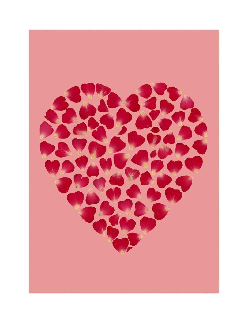 Stampa artistica - Dichiarazione Erbario - A4 e A3