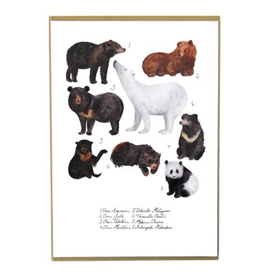 Stampa artistica di Maul of Bears