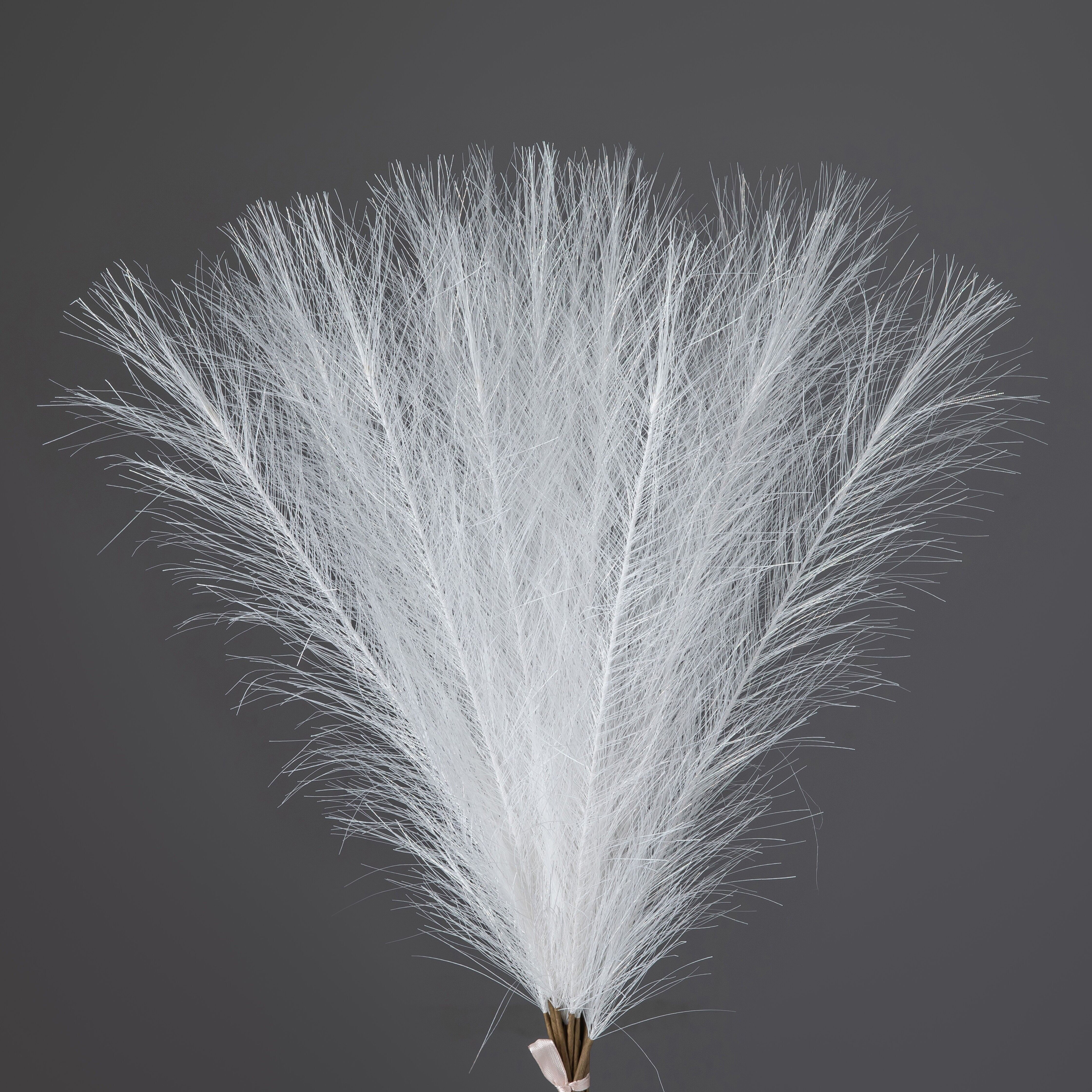 Silbermetallic Pampasgras-Bündel, 20 Stiele, 45 cm hoch - Weiß