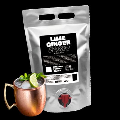 Ready To Mix - Lime Ginger 3L