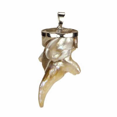 Colgante de nácar galvanizado ovalado 56x30mm