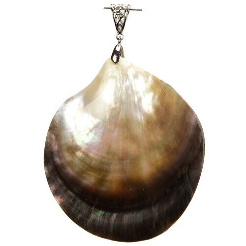 Ciondolo conchiglia, 90x70mm