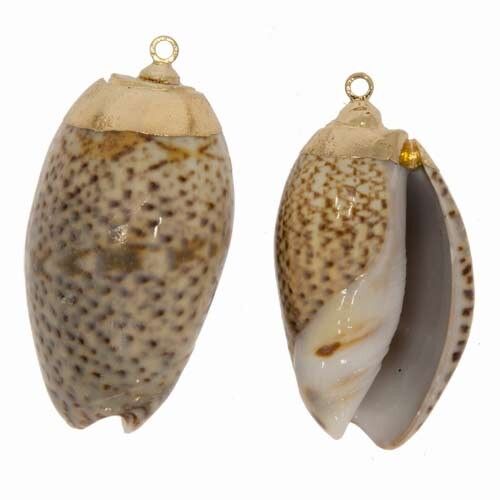 Ciondolo Conchiglia, Marrone