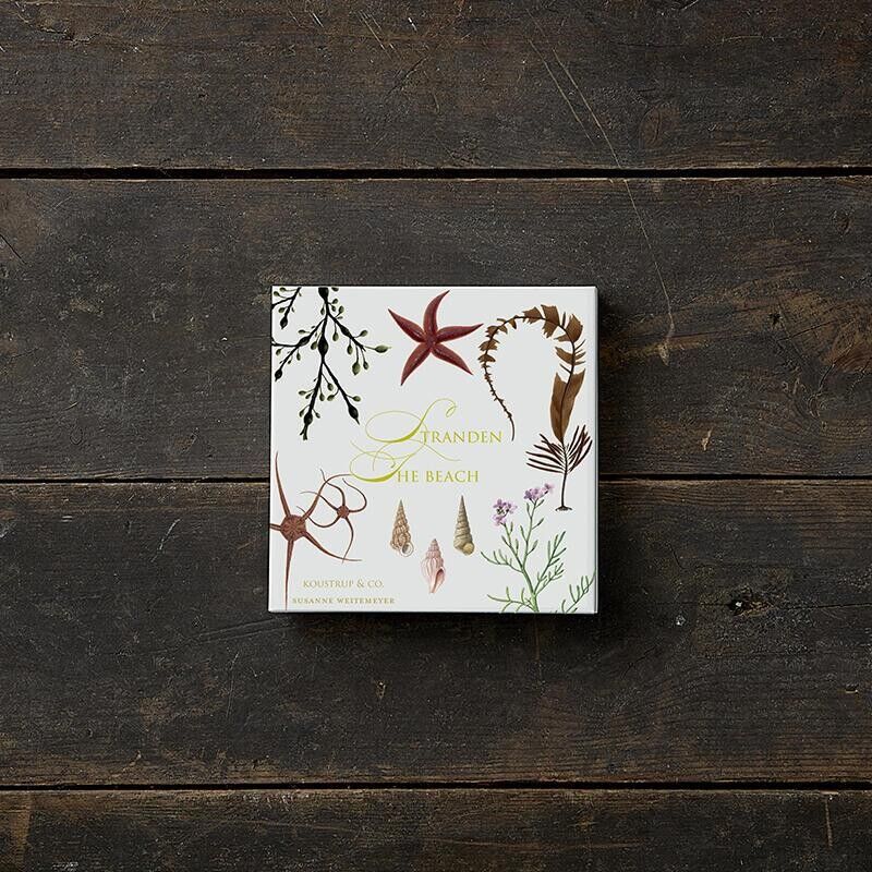 Square Cardfolder - Beach 8 cards w/envelopes