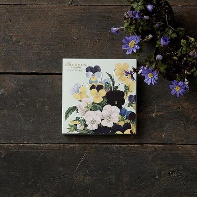 Carpeta cuadrada - Blooming spring 8 tarjetas con sobres