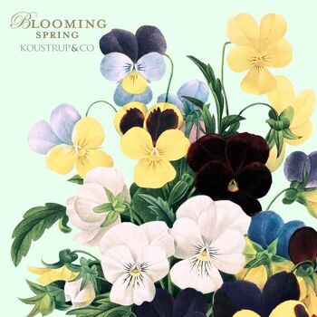 Porte-cartes carré - Blooming spring 8 cartes avec enveloppes 4