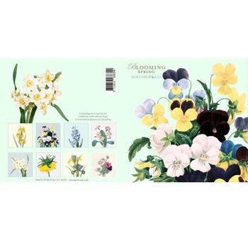 Porte-cartes carré - Blooming spring 8 cartes avec enveloppes 5