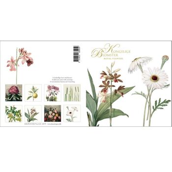 Porte-cartes carré - Fleurs royales 8 cartes avec enveloppes 4