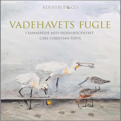 Quadratischer Kartenordner – Birds from the Vades 8 Karten mit Umschlägen