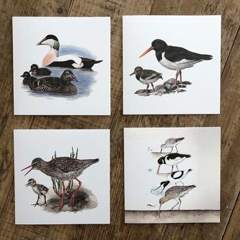 Porte-cartes carré - Oiseaux du Vades 8 cartes avec enveloppes 3