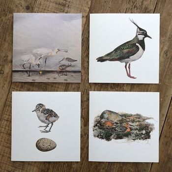 Porte-cartes carré - Oiseaux du Vades 8 cartes avec enveloppes 4