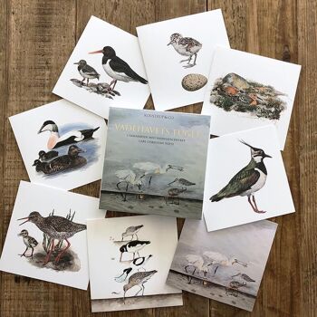 Porte-cartes carré - Oiseaux du Vades 8 cartes avec enveloppes 5