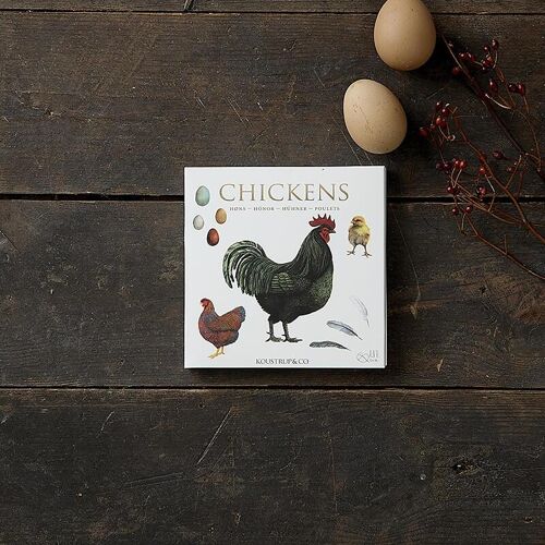 Square Cardfolder - Chickens 8 cards w/envelopes