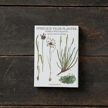 PLANTES SAUVAGES COMESTIBLES - 8 CARTES 1