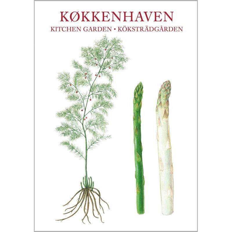 JARDÍN DE COCINA - 8 TARJETAS