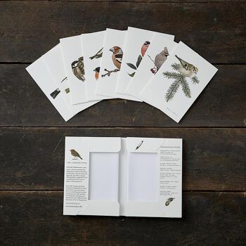 Oiseaux du jardin hiver - 8 cartes + 8 enveloppes - Fabriqué en Europe 2