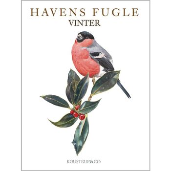 Oiseaux du jardin hiver - 8 cartes + 8 enveloppes - Fabriqué en Europe 4