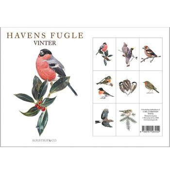 Oiseaux du jardin hiver - 8 cartes + 8 enveloppes - Fabriqué en Europe 5