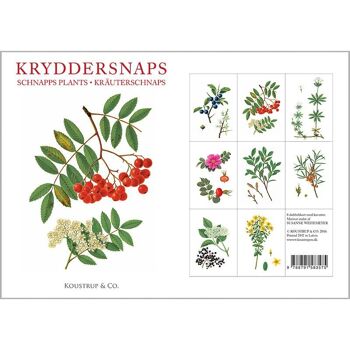 Herbes pour schnaps - 8 cartes et 8 enveloppes - Made In Europe 5