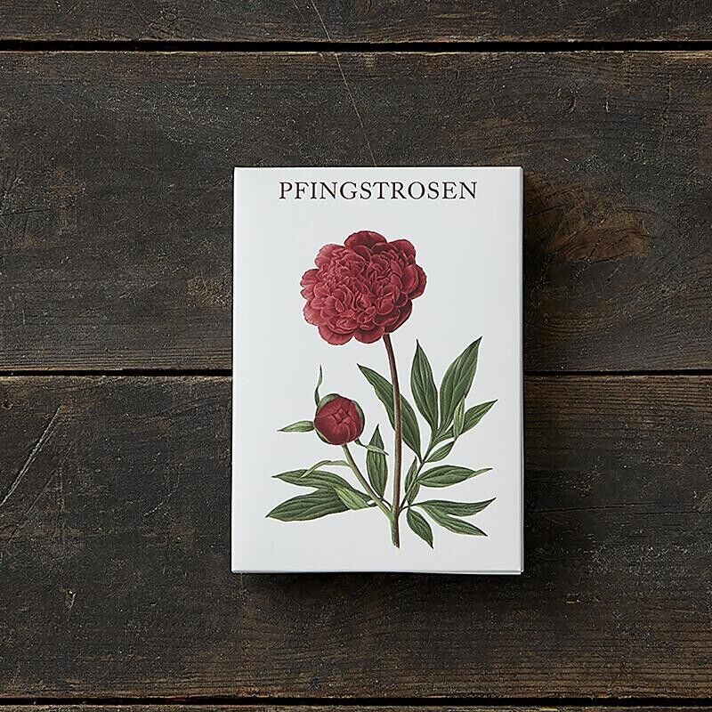 PFINGSTROSEN - 8 KARTEN (DEUTSCH)