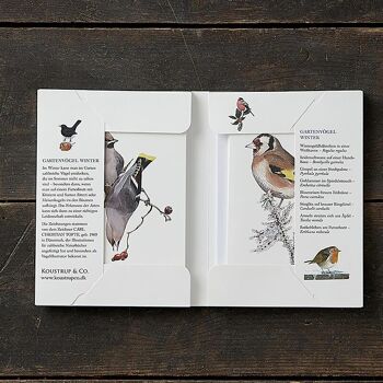Oiseaux de jardin hiver - 8 cartes (allemand) carte postale mit Gartenvögel 4